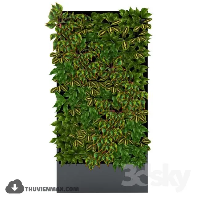 WALL PLANTS – 3DMODEL – 11