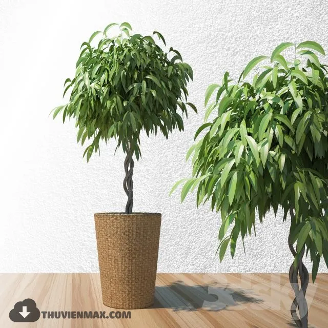PLANTS – 3dsmax MODEL – 01