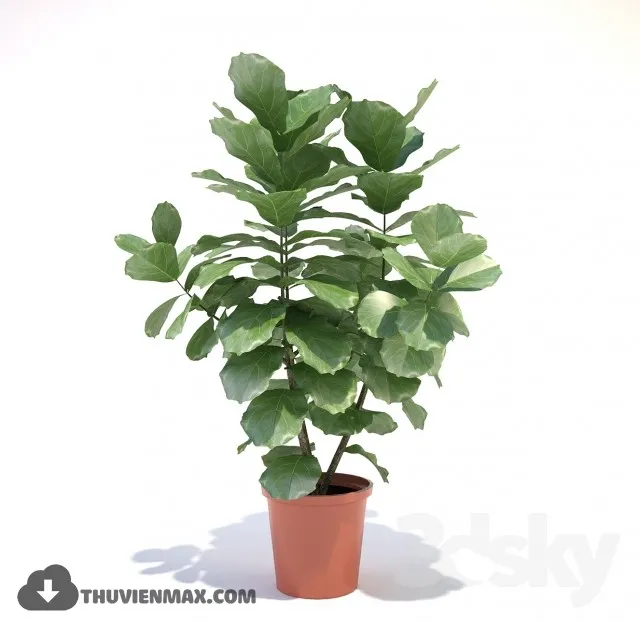 PLANTS – 3dsmax MODEL – 02
