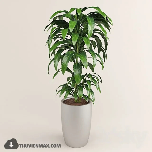 PLANTS – 3dsmax MODEL – 04