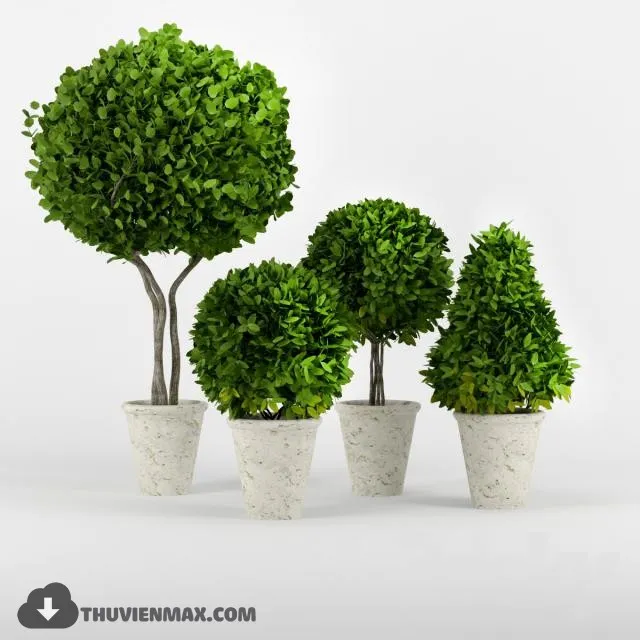 PLANTS – 3dsmax MODEL – 05