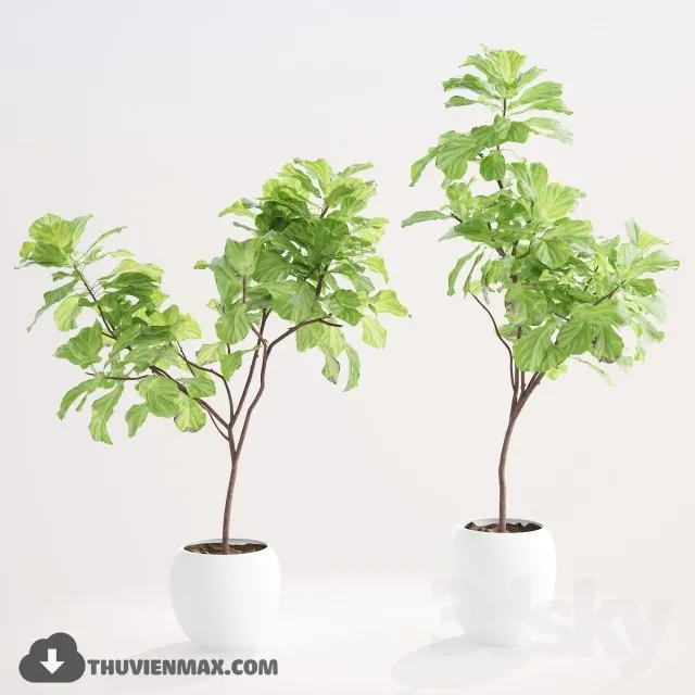 PLANTS – 3dsmax MODEL – 06