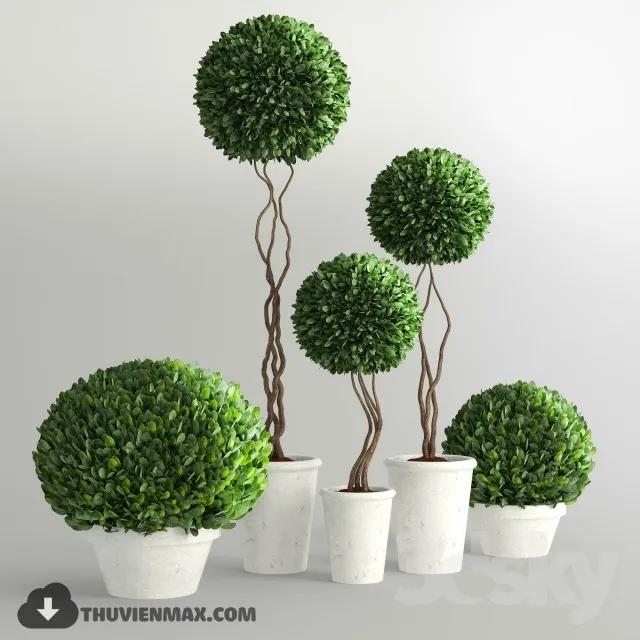 PLANTS – 3dsmax MODEL – 09