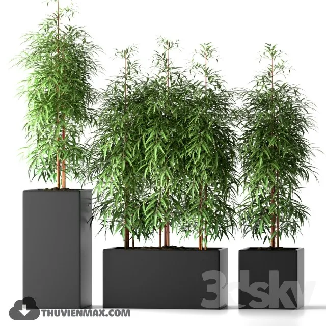 PLANTS – 3dsmax MODEL – 14