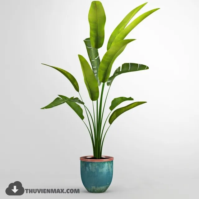 PLANTS – 3dsmax MODEL – 16