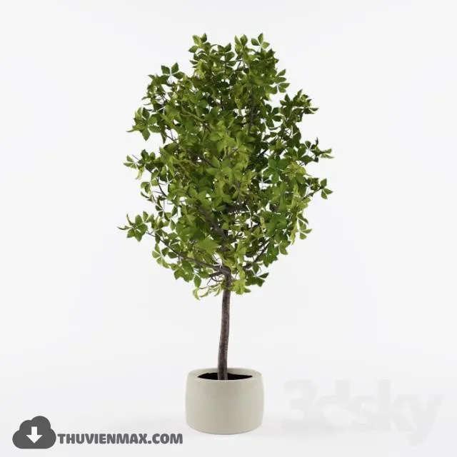 PLANTS – 3dsmax MODEL – 18