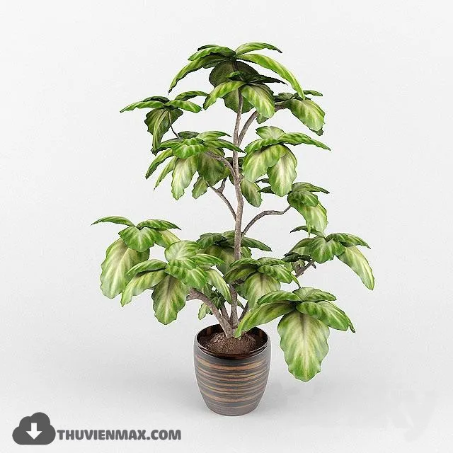 PLANTS – 3dsmax MODEL – 20