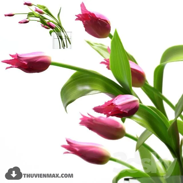 FLOWER POTS – 3DMODELS – 3dsmax – 031