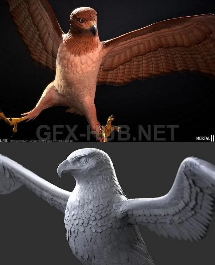 PBR Game 3D Model – Hawk