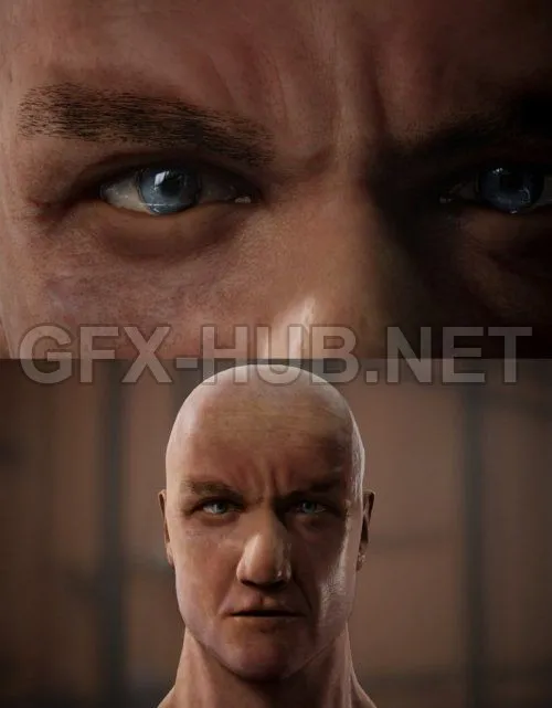PBR Game 3D Model – Head Portrait PBR