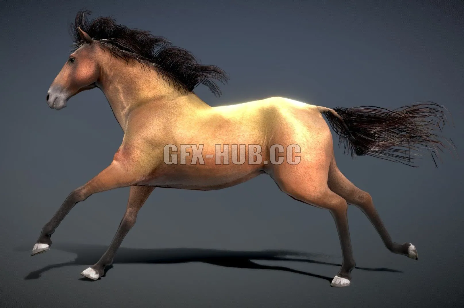 PBR Game 3D Model – Horse – Spanish Mustang Brown