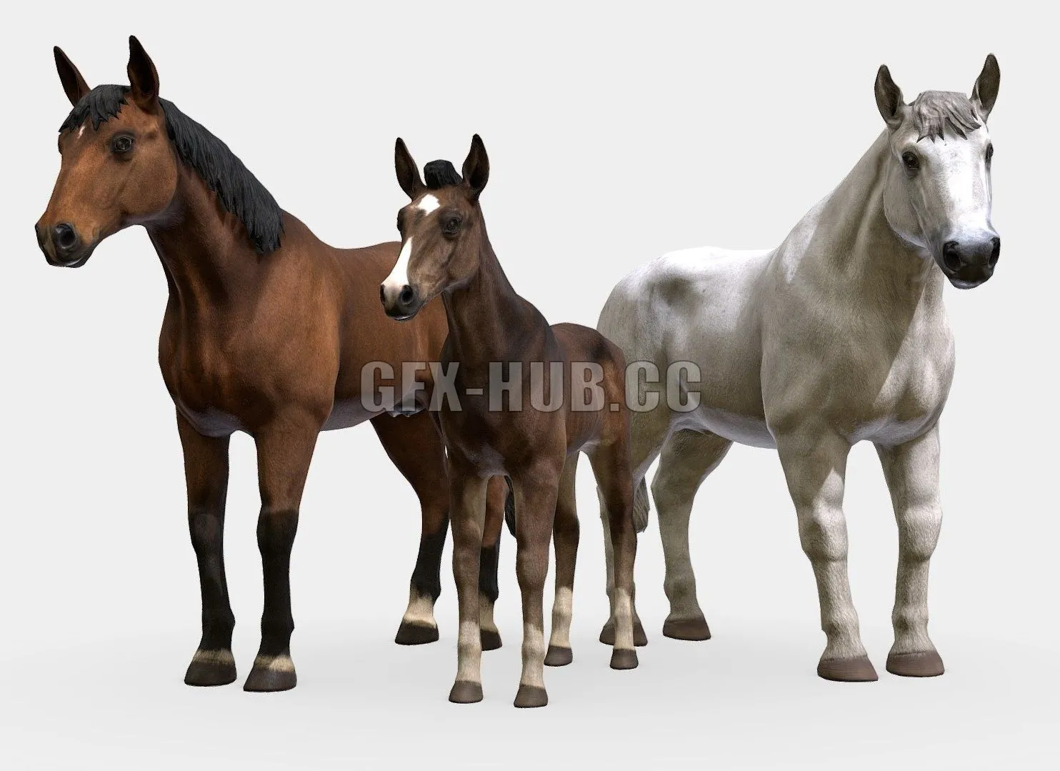 PBR Game 3D Model – Horse Family