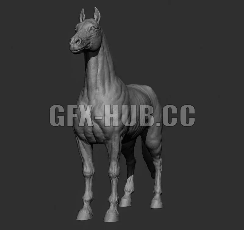 PBR Game 3D Model – Horse