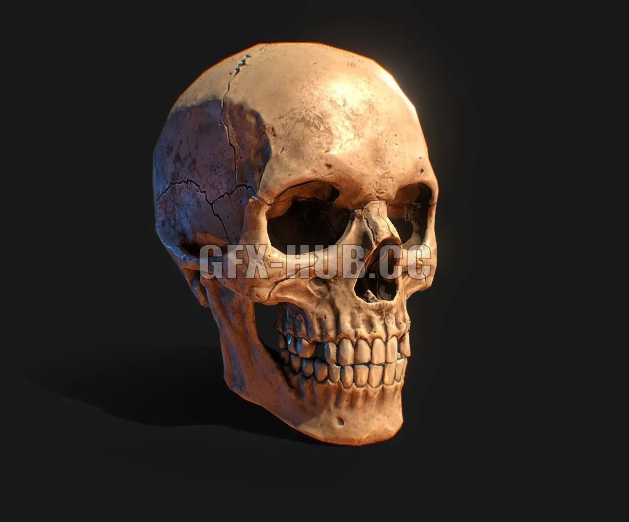 PBR Game 3D Model – Human Skull