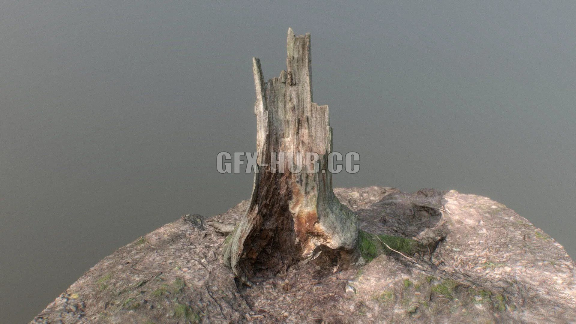 PBR Game 3D Model – Irregular tree stump