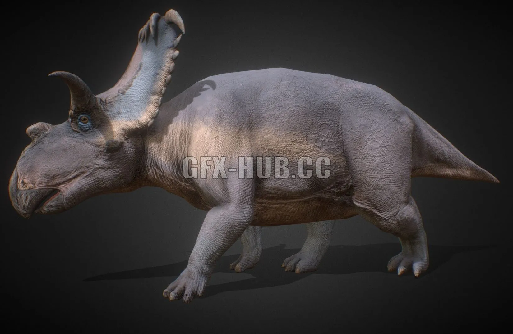 PBR Game 3D Model – Kosmoceratops