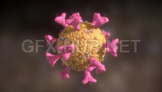 PBR Game 3D Model – Lowpoly Coronavirus