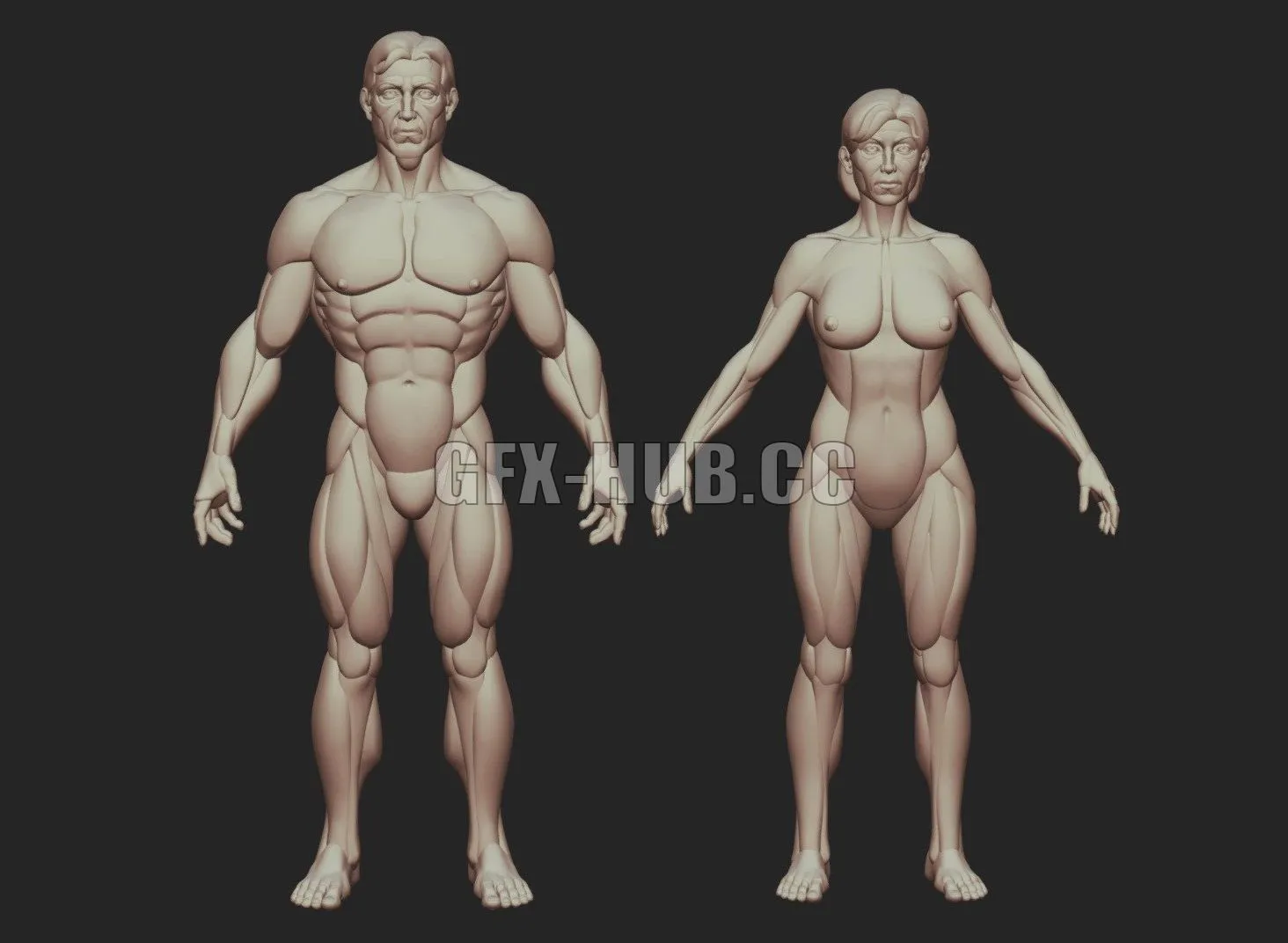 PBR Game 3D Model – Man and Woman base shapes figures