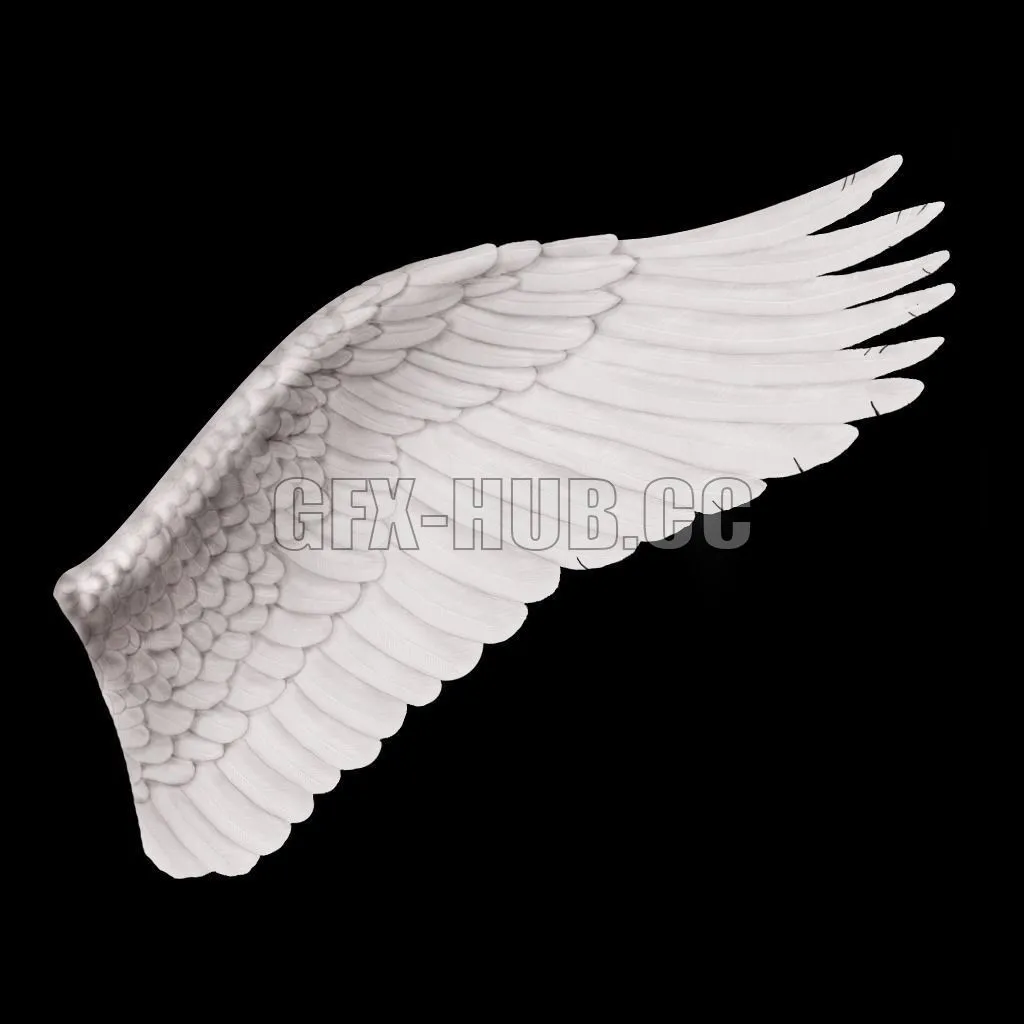 PBR Game 3D Model – Angel Wings