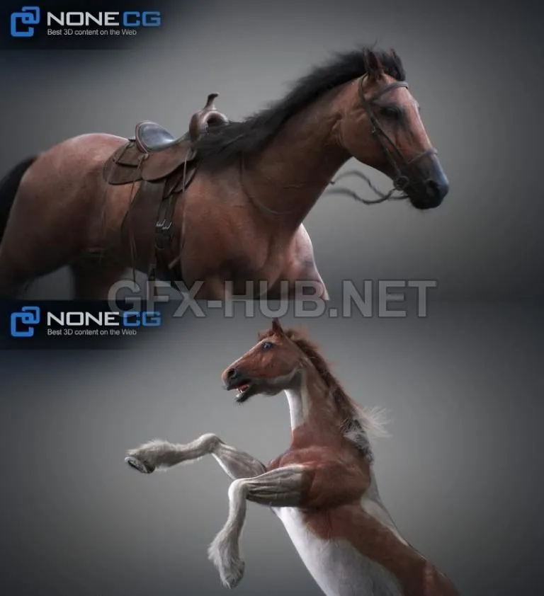 PBR Game 3D Model – Animated 3D Horses