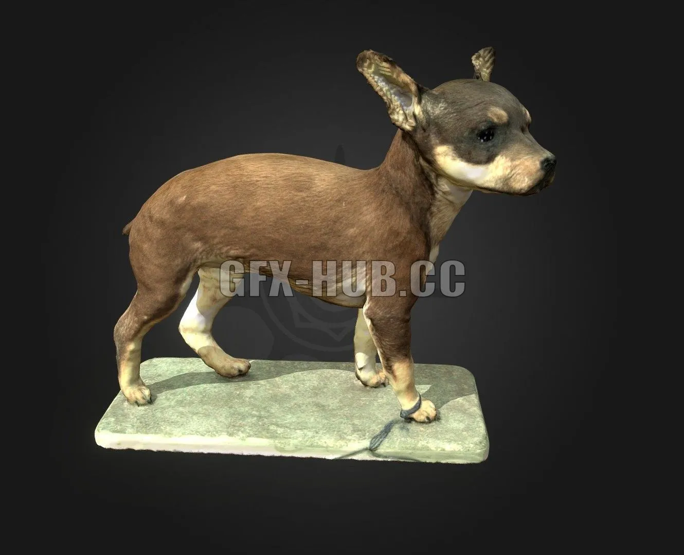 PBR Game 3D Model – Miniature Pinscher