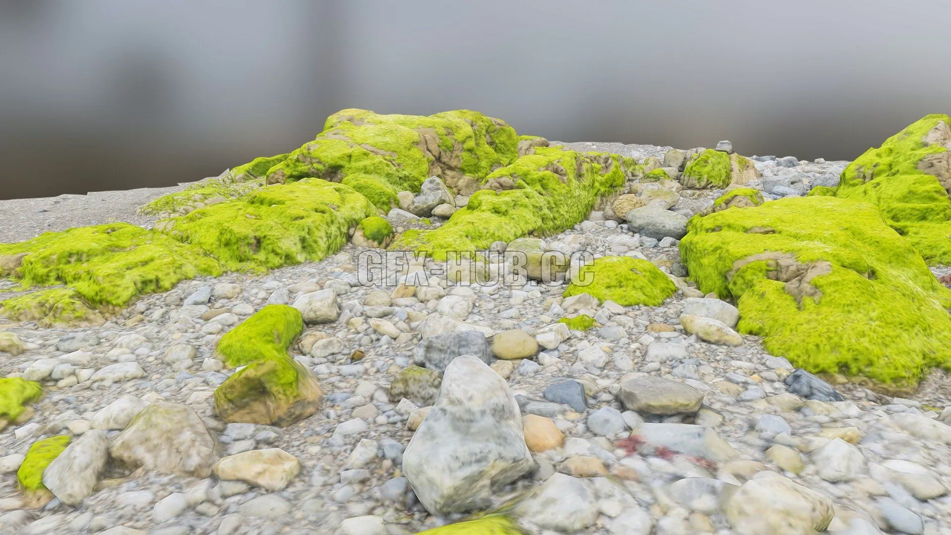 PBR Game 3D Model – Mossy beach rocks patch scan