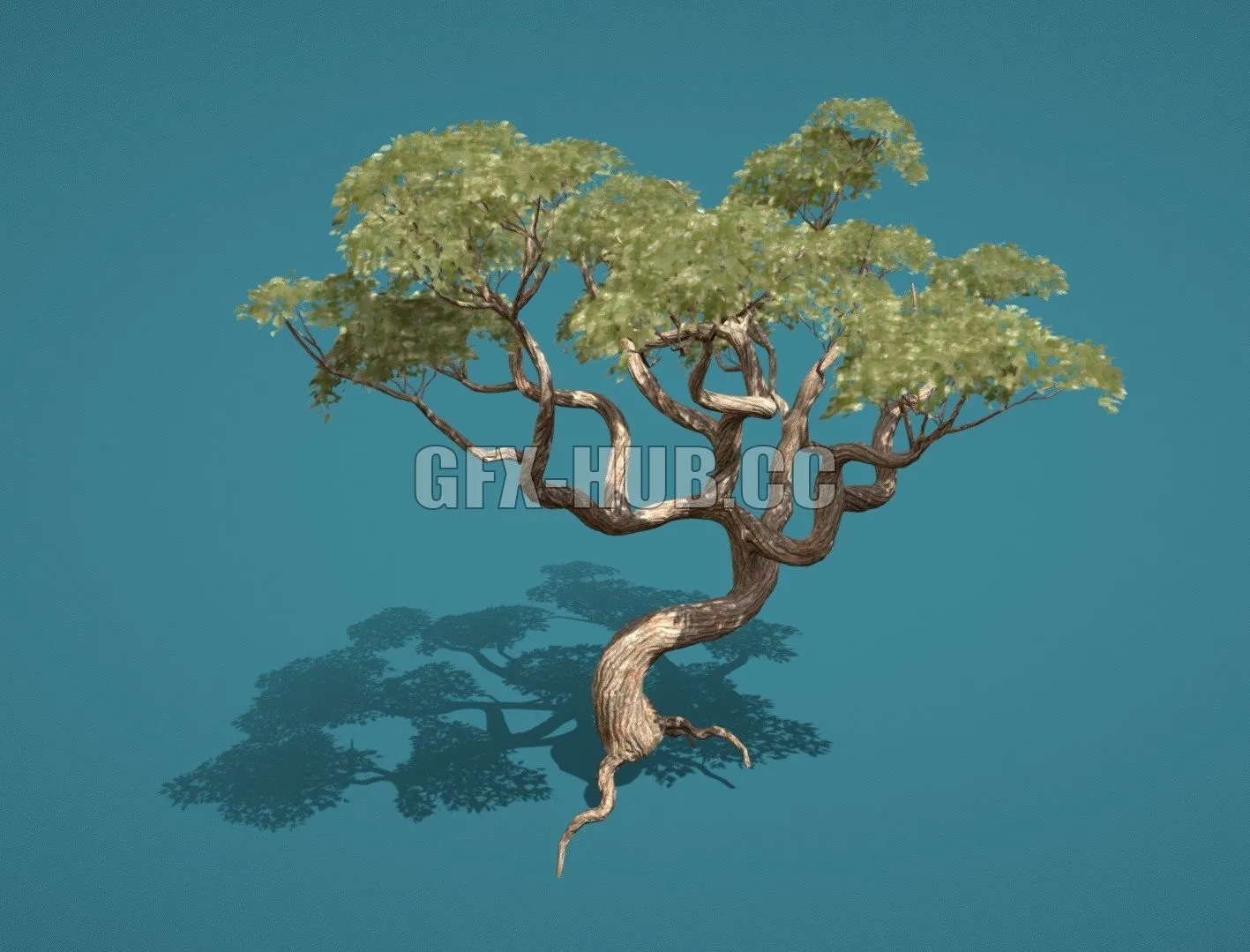 PBR Game 3D Model – Old Tree