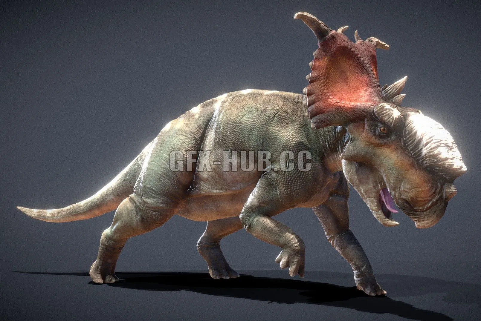 PBR Game 3D Model – Pachyrhinosaurus lakustai
