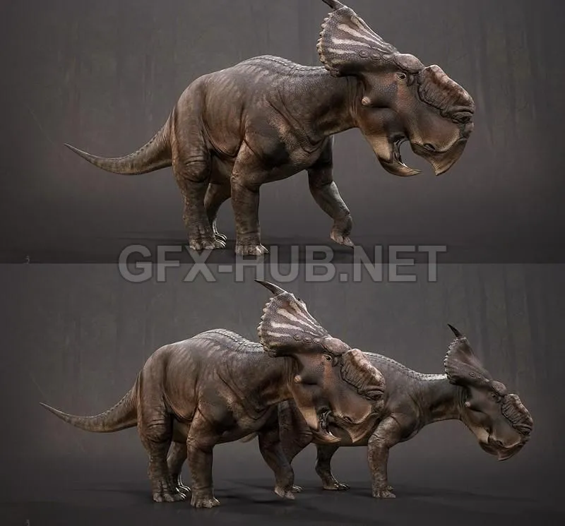 PBR Game 3D Model – Pachyrhinosaurus sp PBR