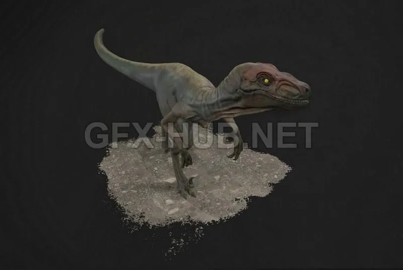 PBR Game 3D Model – Raptor