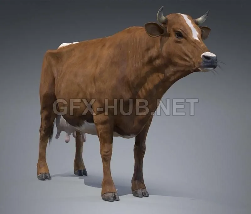 PBR Game 3D Model – Red Milch Cow