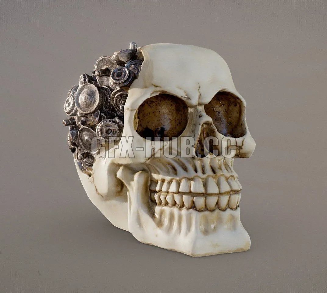 PBR Game 3D Model – Steampunk Cyborg Skull