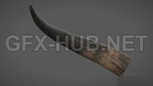 PBR Game 3D Model – Texturing.xyz – Cow Horn #05