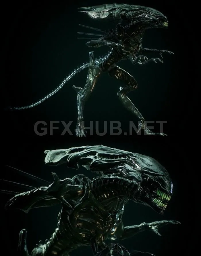 PBR Game 3D Model – The Queen of Aliens
