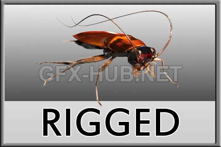 PBR Game 3D Model – Turbosquid – Cockroach rigged