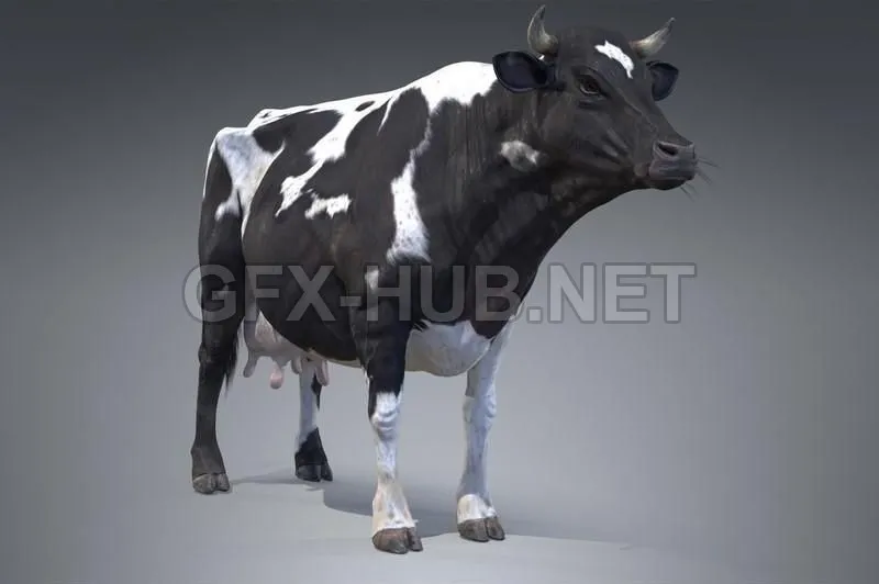 PBR Game 3D Model – Black And White Milch Cow PBR