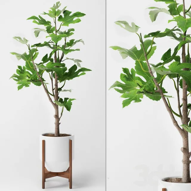 3DSMAX - FREE 3DS MAX MODELS