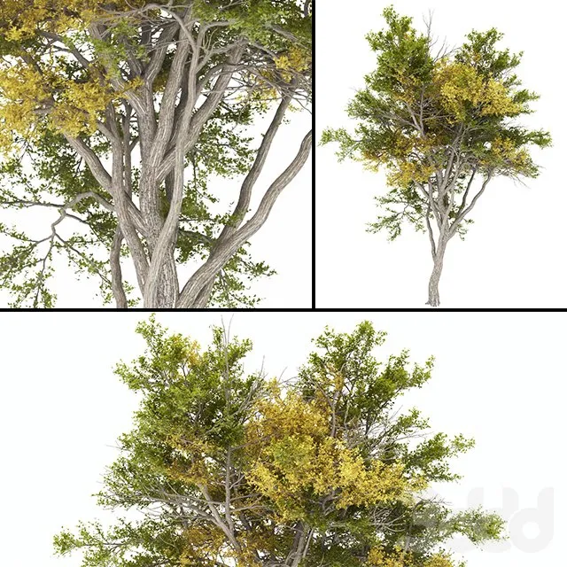 3DSMAX - FREE 3DS MAX MODELS