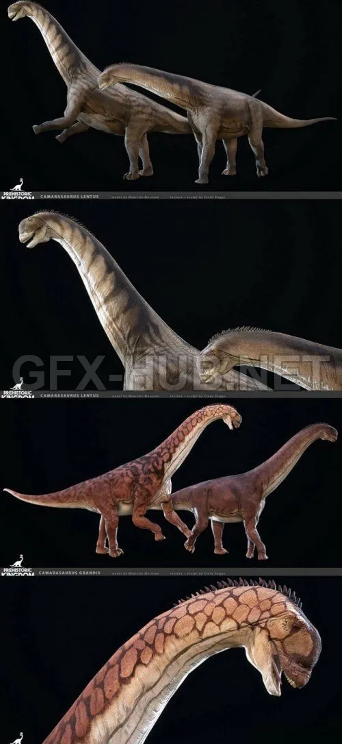 PBR Game 3D Model – Camarasaurus