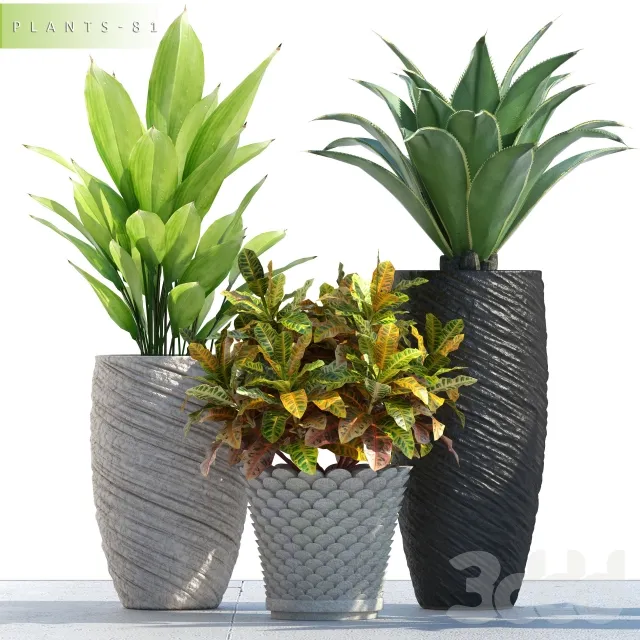3DSMAX - FREE 3DS MAX MODELS