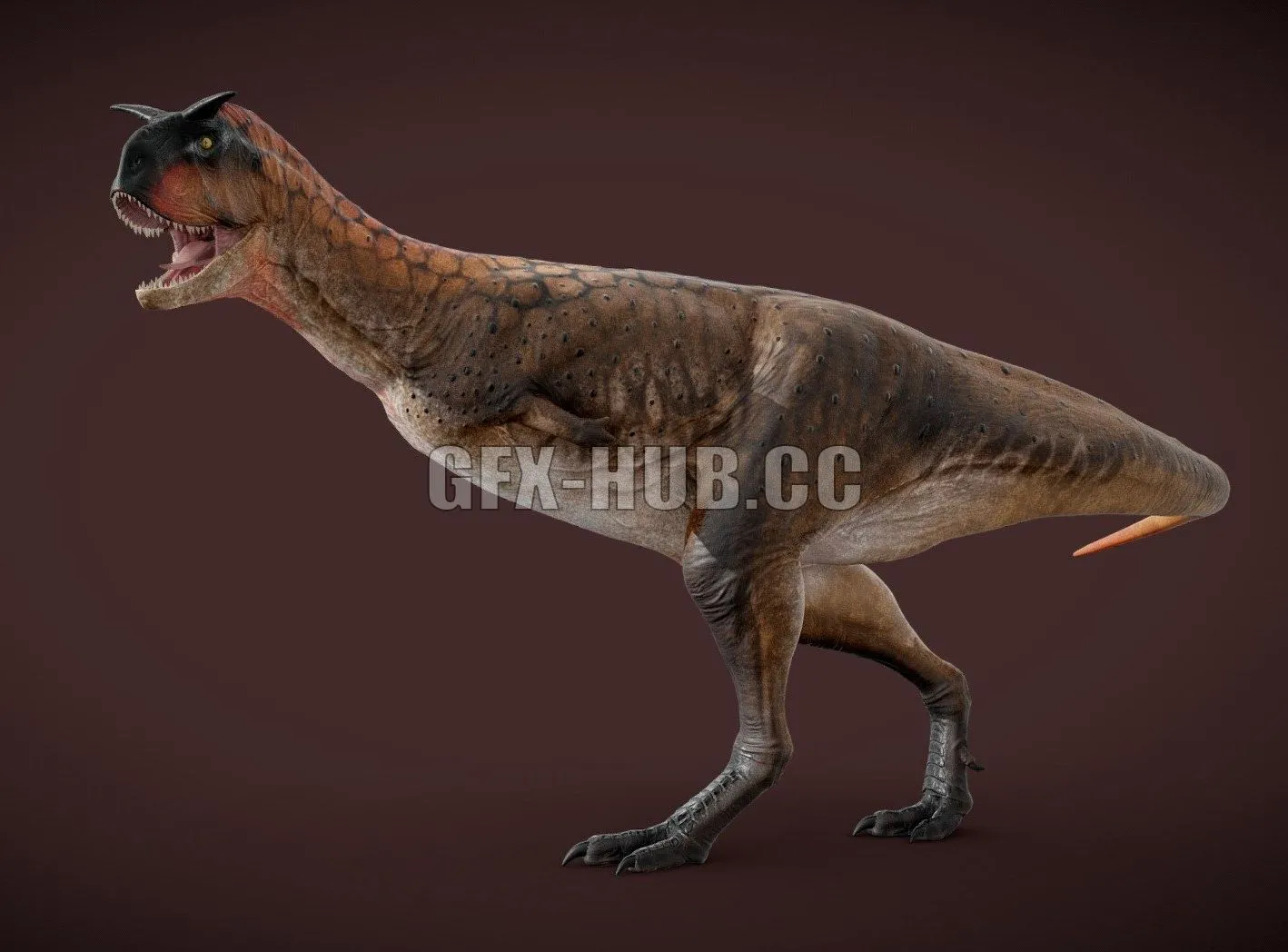 PBR Game 3D Model – Carnotaurus