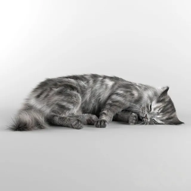 3DSMAX - FREE 3DS MAX MODELS