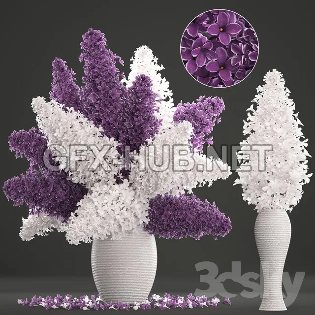 FURNITURE 3D MODELS – A bouquet of flowers 80