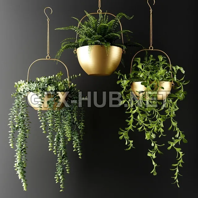 FURNITURE 3D MODELS – Ampel plants in bronze flower pots