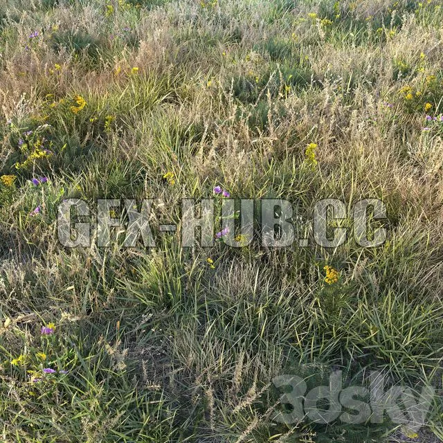 FURNITURE 3D MODELS – Autumn Grass