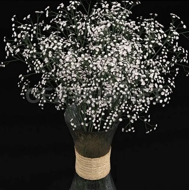 FURNITURE 3D MODELS – Bouquet of gypsophila