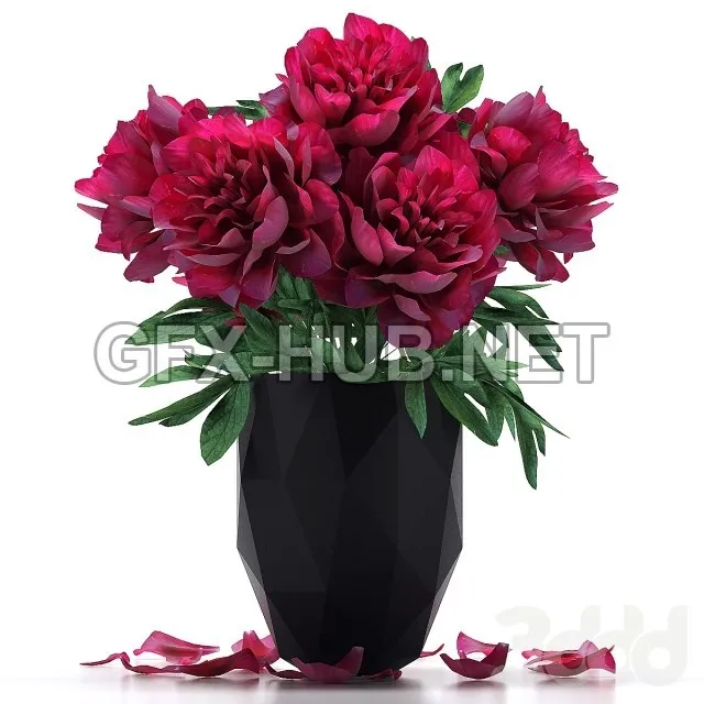 FURNITURE 3D MODELS – Bouquet of peonies in a dark vase