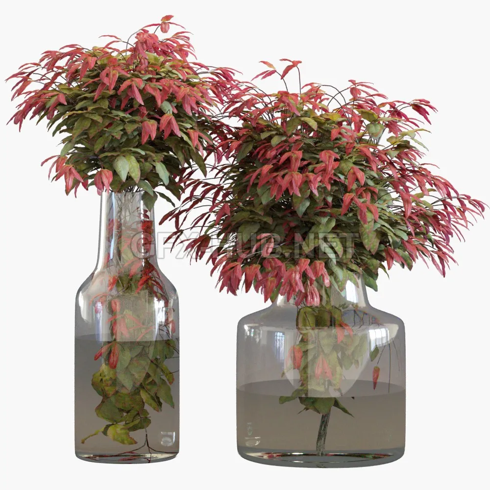 FURNITURE 3D MODELS – Branches in vases 26 Dwarf sacred bamboo