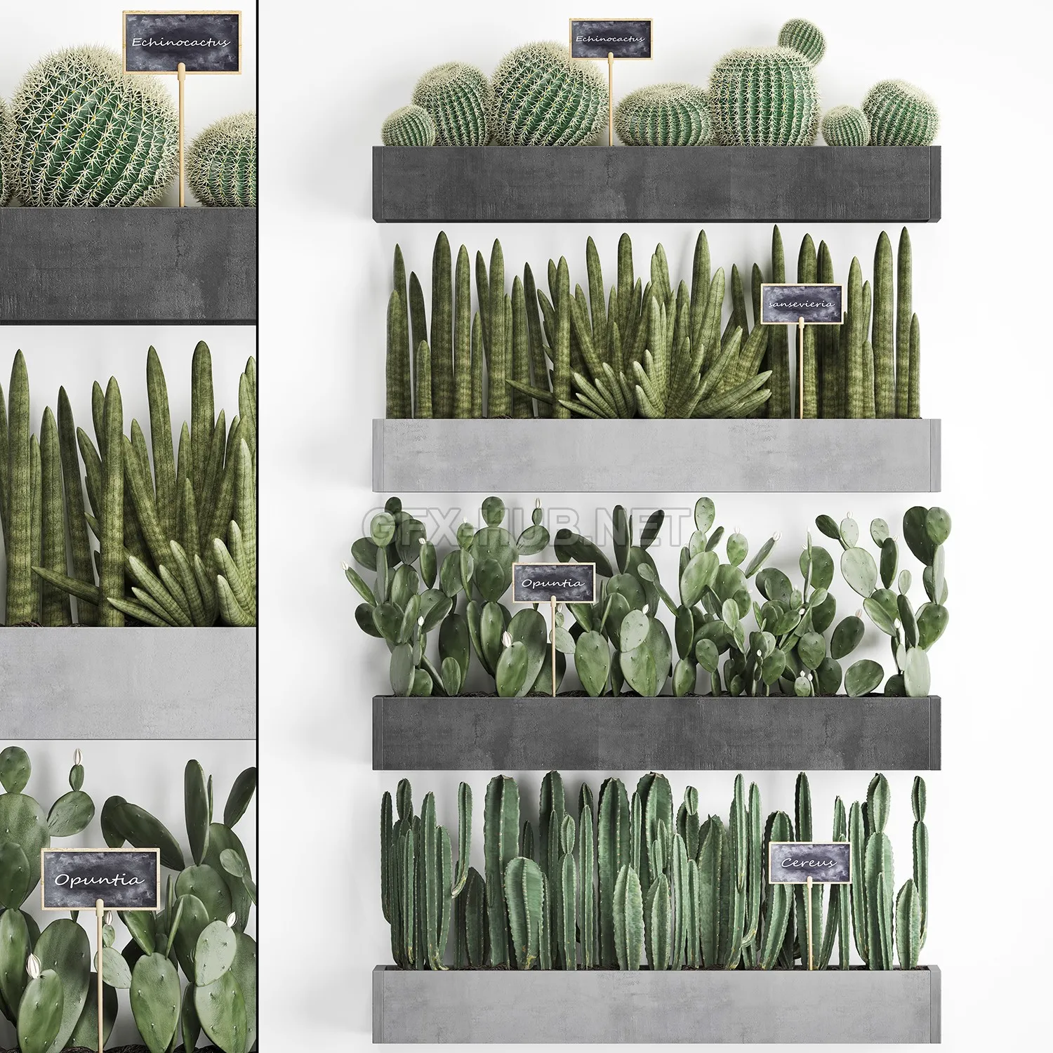 FURNITURE 3D MODELS – Cactus set wall decor vertical garden 43