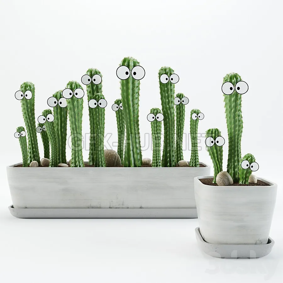 FURNITURE 3D MODELS – Cactus with eyes